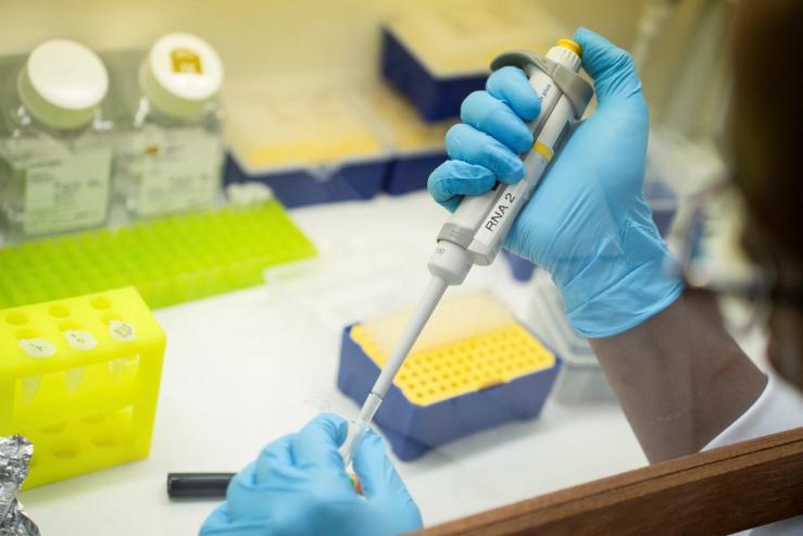 The research lab at the Wits University Faculty of Health Sciences in Johannesburg, South Africa.