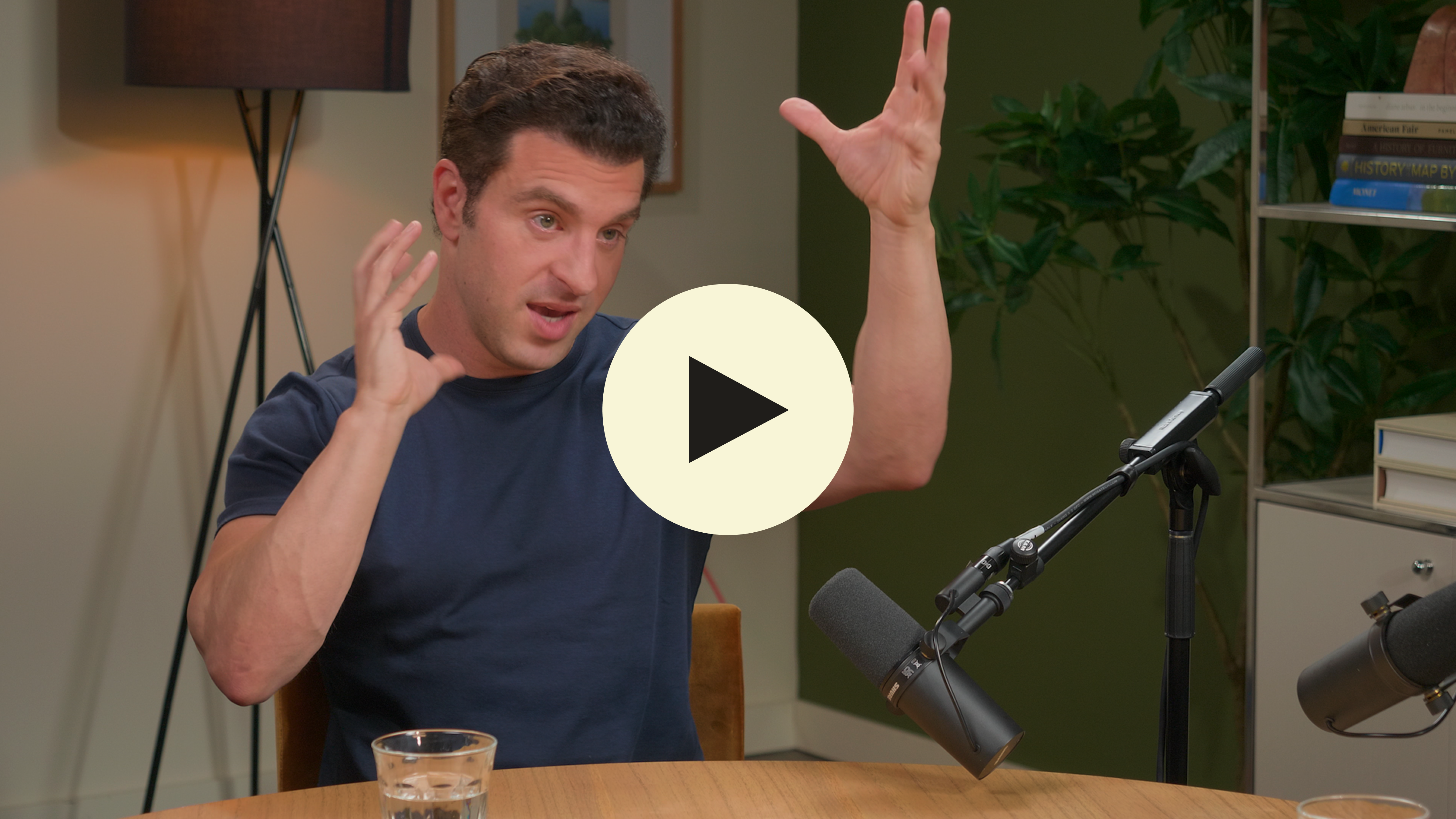 A screenshot of The CEO Signal Show with Brian Chesky.