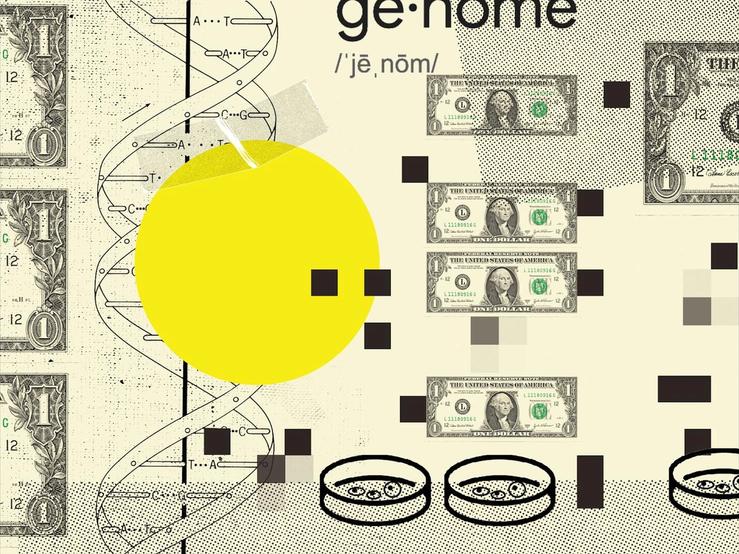 A graphic showing genome.