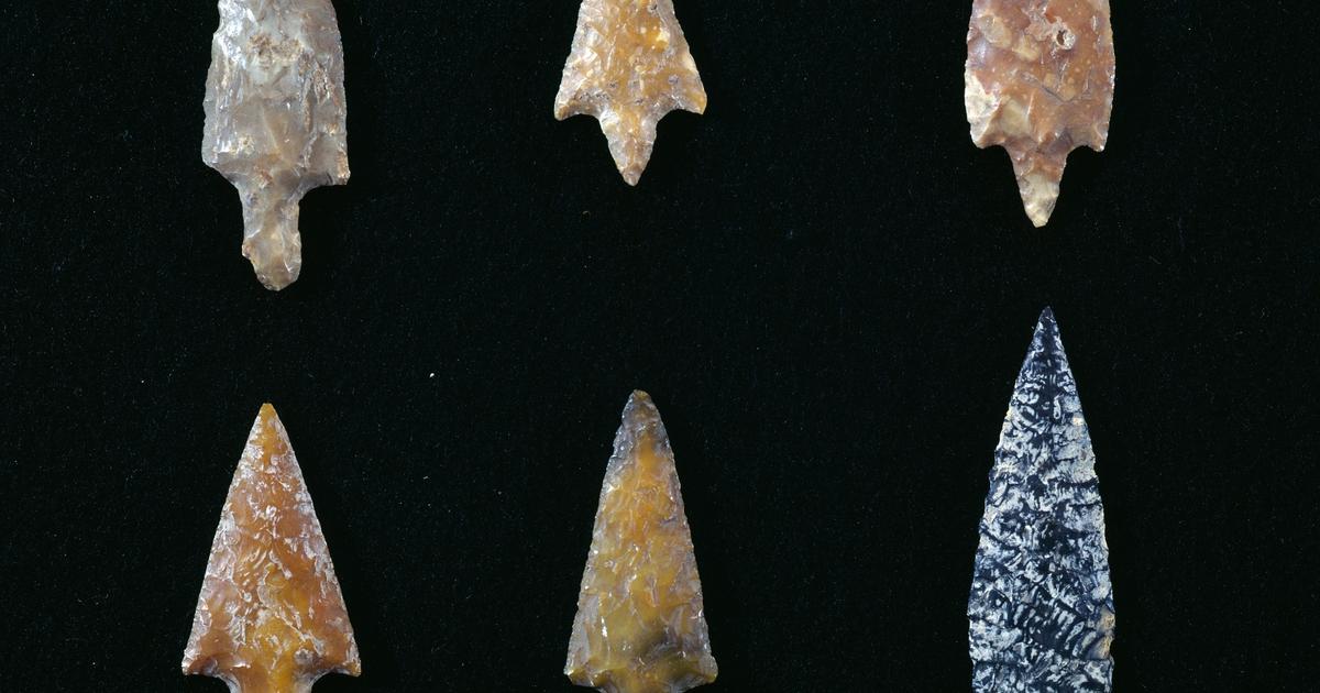 Ancient human hunters used poisoned arrows