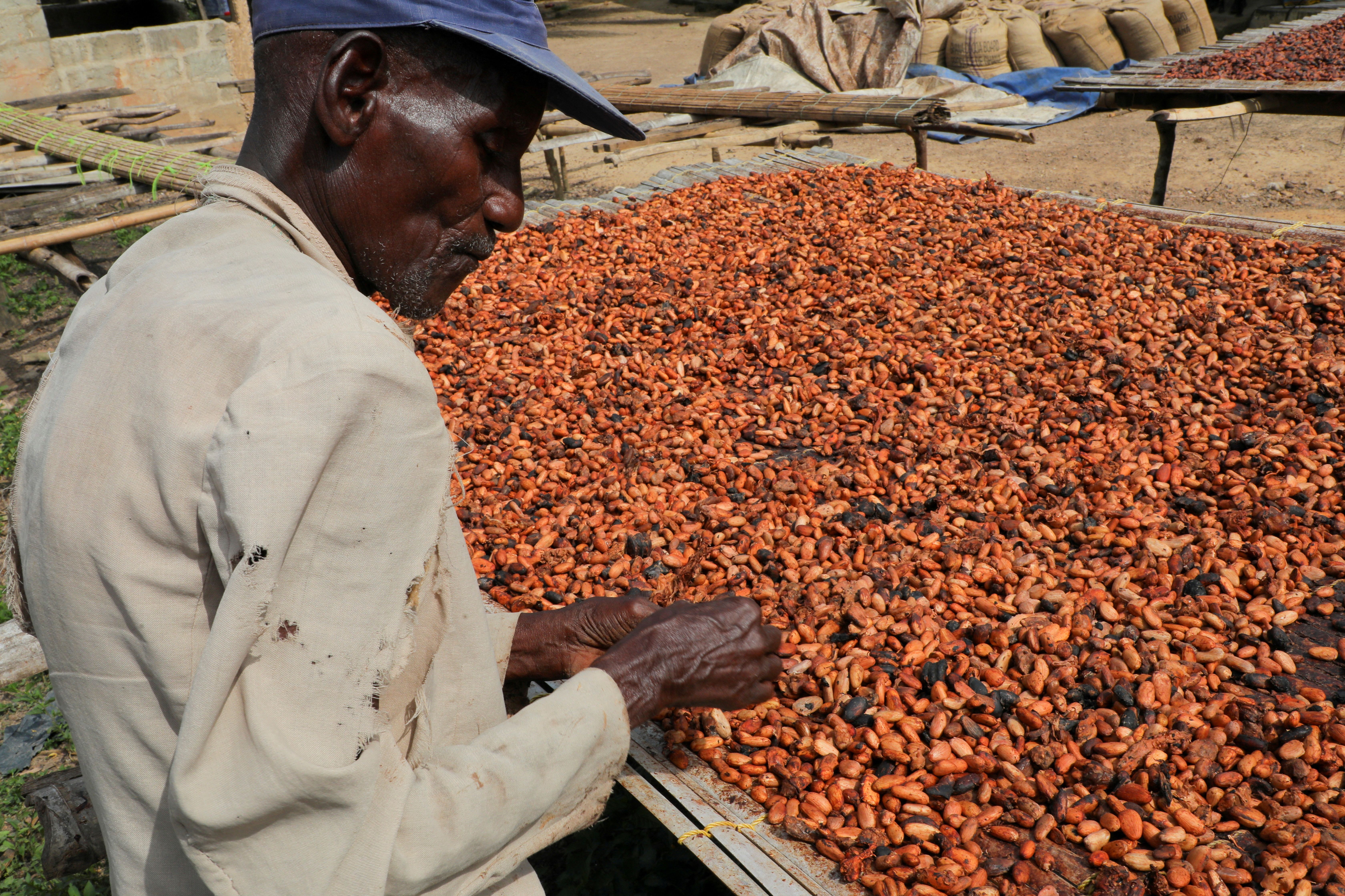 A cocoa farmer in Ghana.
