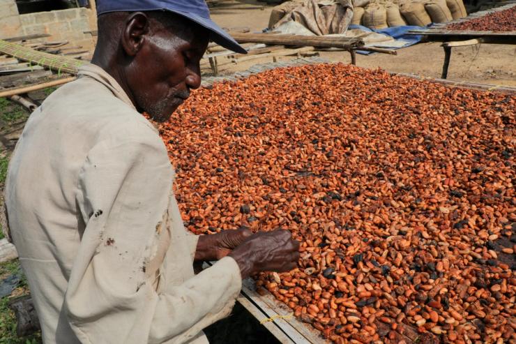 A cocoa farmer in Ghana.