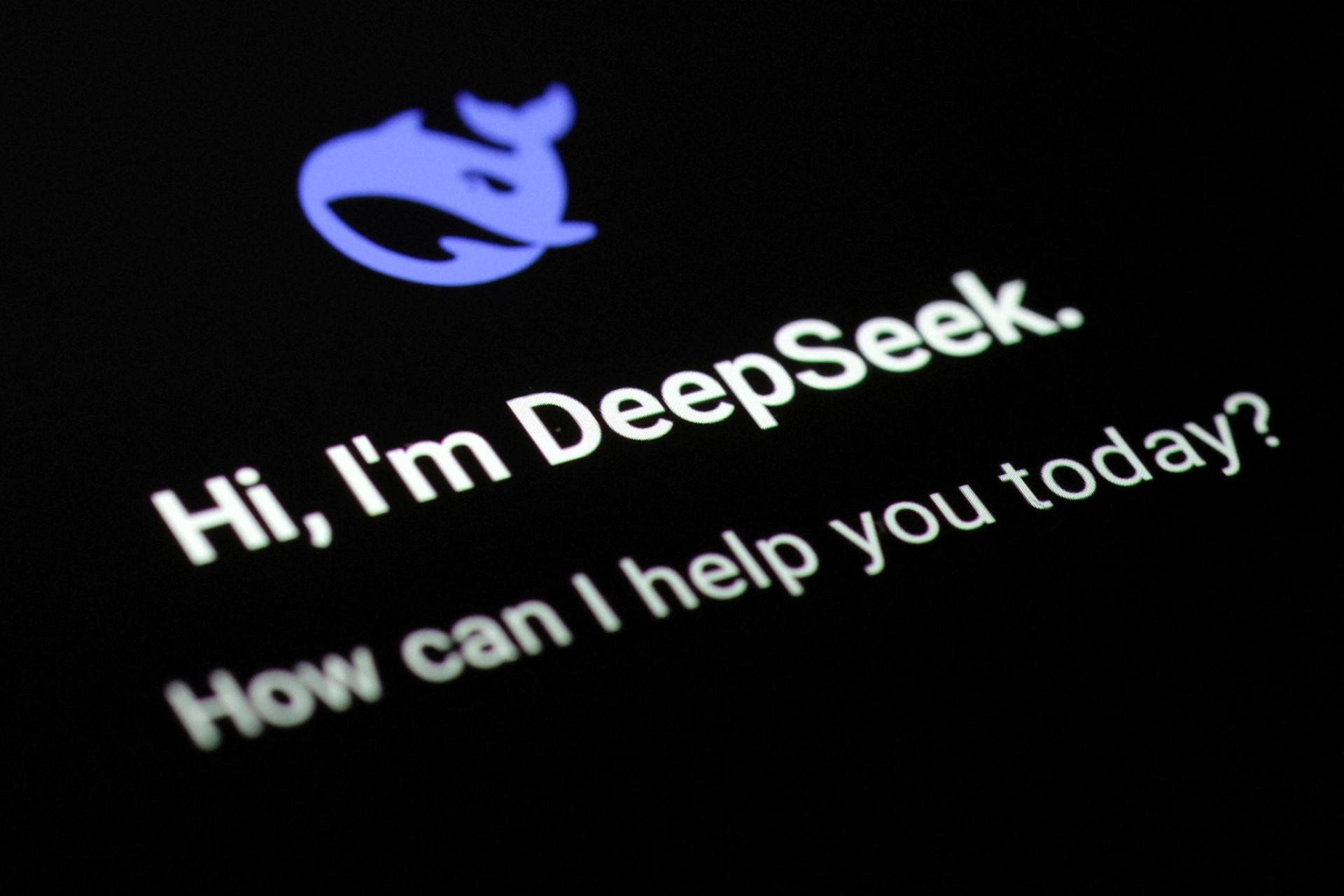 The DeepSeek app