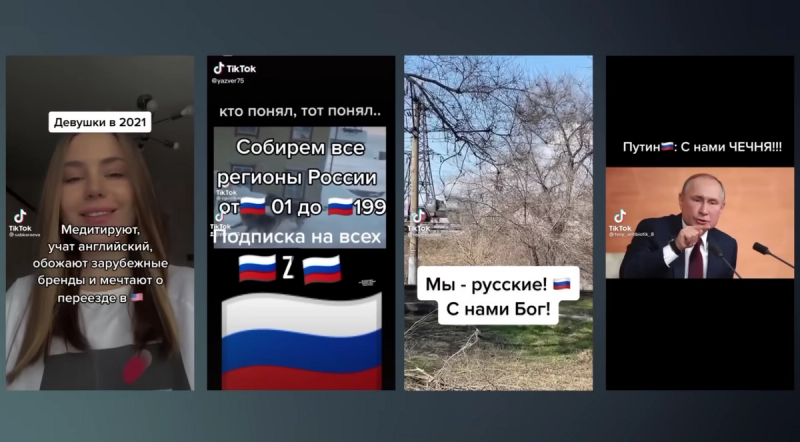 A screenshot of The Insider's investigation into patriotic pro-Russia TikToks.