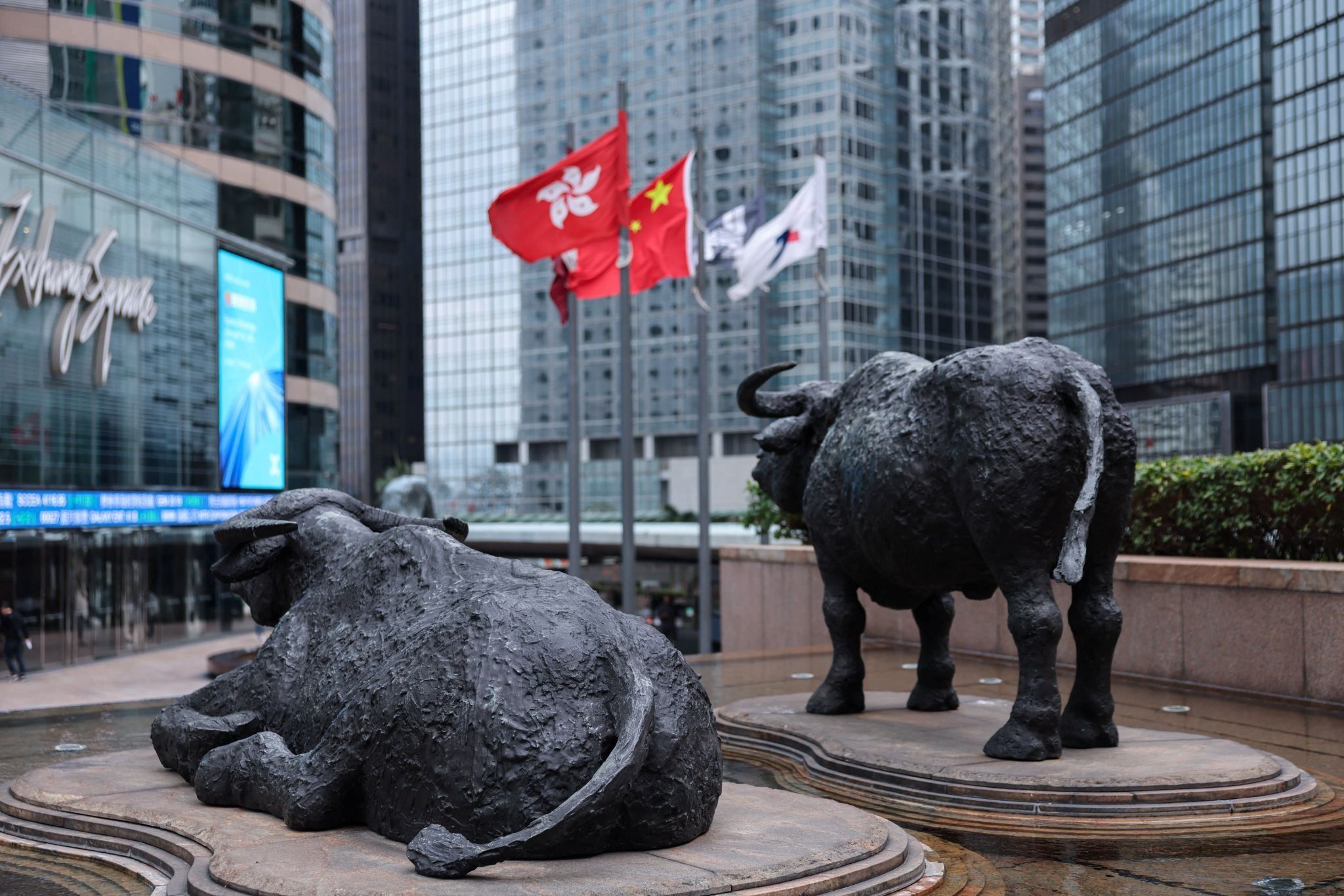 Bull statues near screens showing the Hang Seng stock index and stock prices outside Exchange Square, in Hong Kong