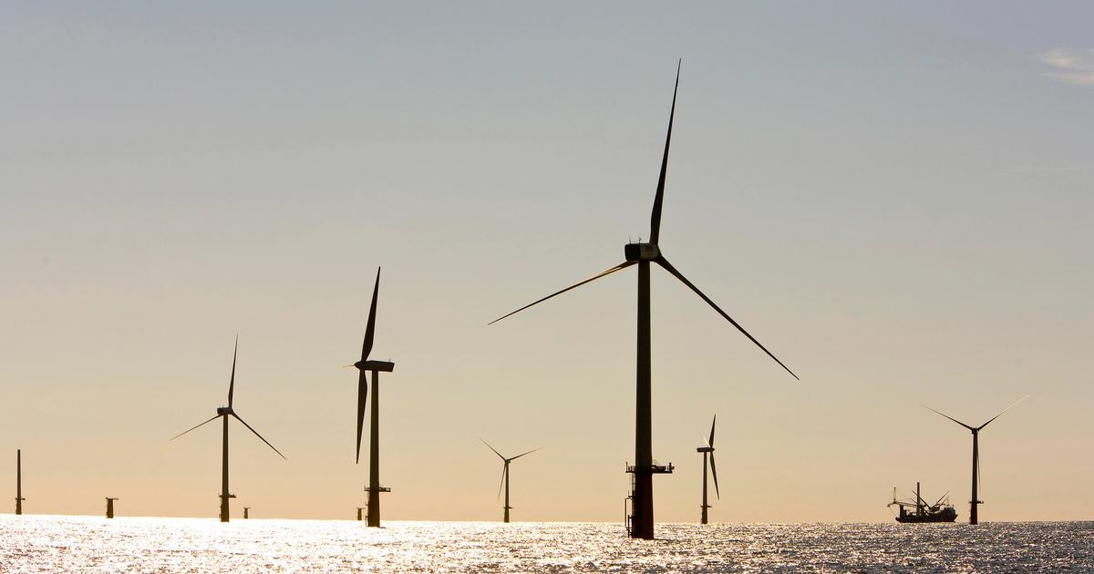 US ‘overpaid' for cancelled wind leases, researcher finds