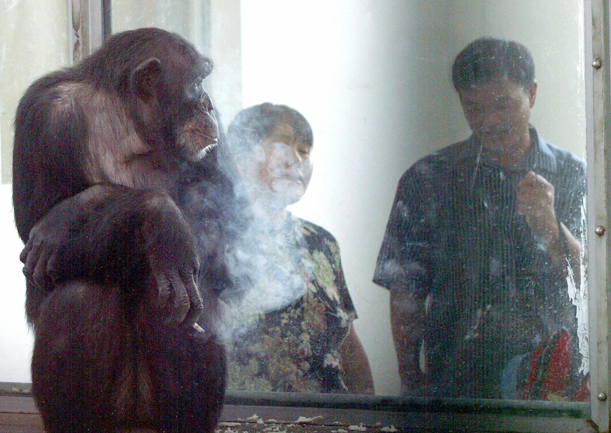 Ai enjoys a cigarette. 