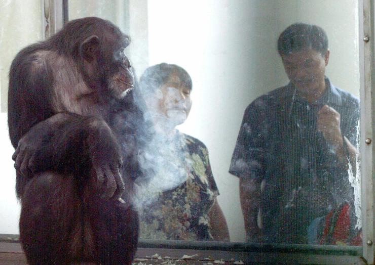 Ai enjoys a cigarette.