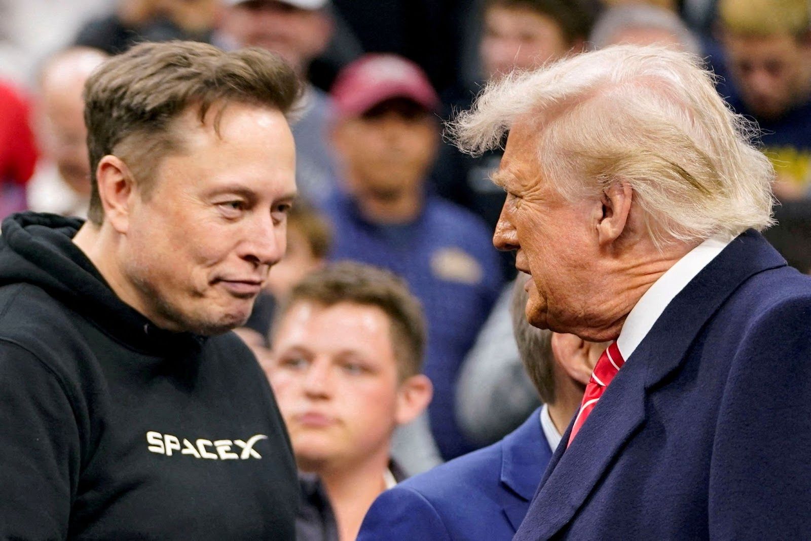 Elon Musk and Donald Trump