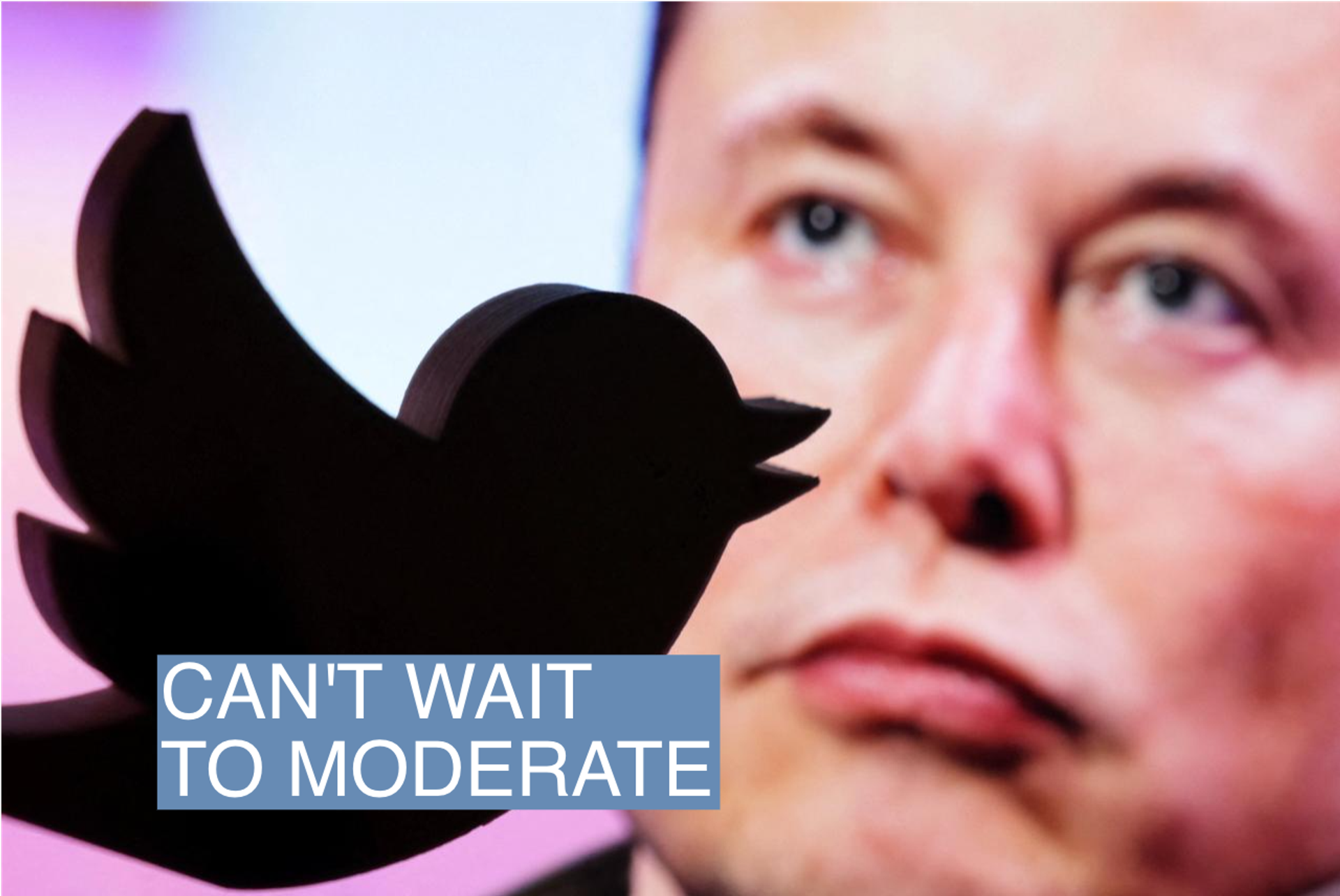 Elon Musk and the Twitter logo.