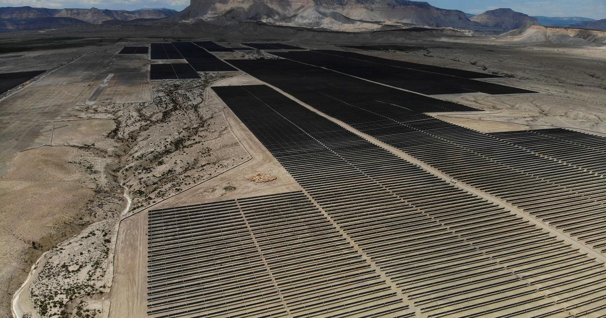 Trump's climate policy impact offset by renewable costs, global action