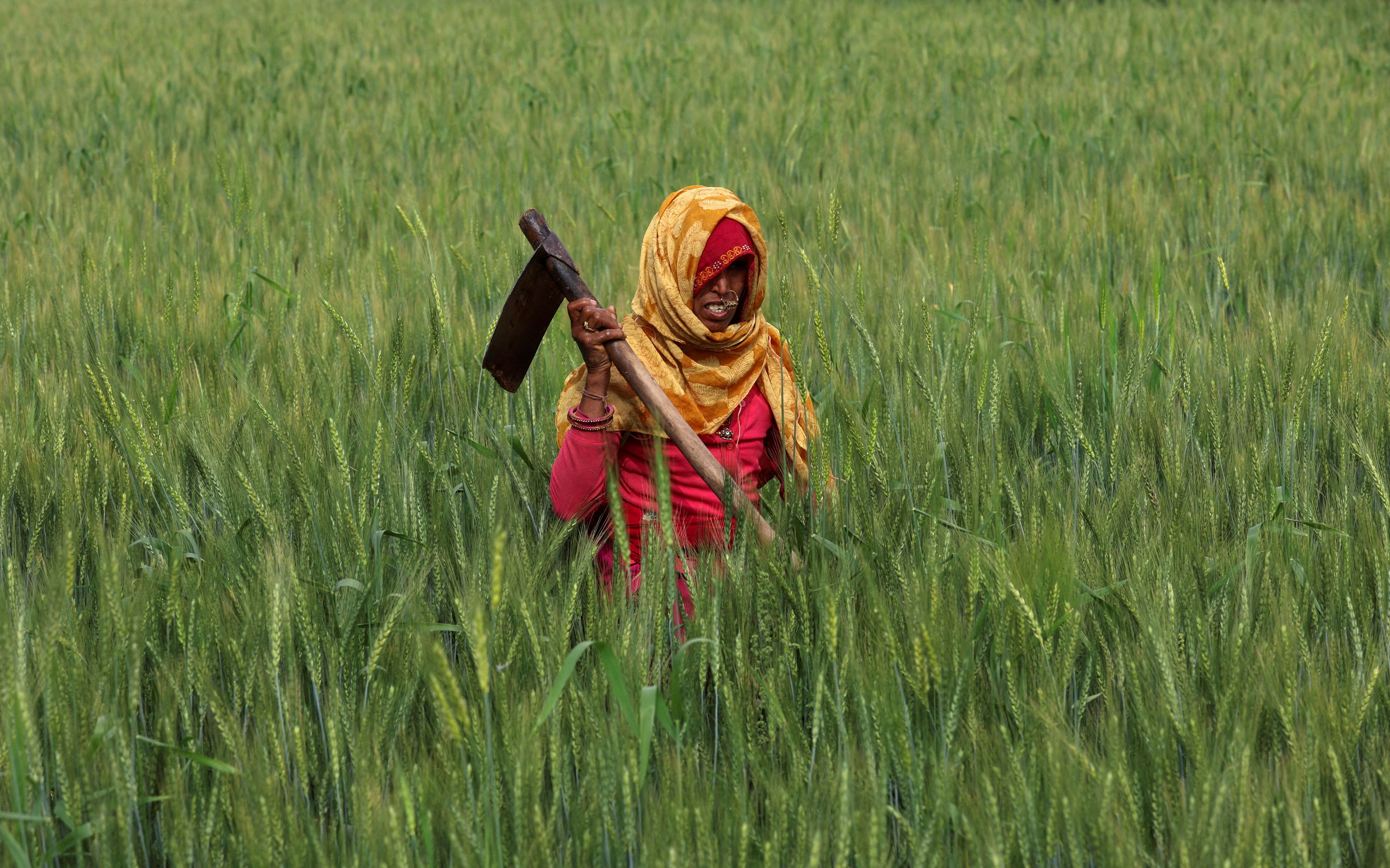 A farmer in India.