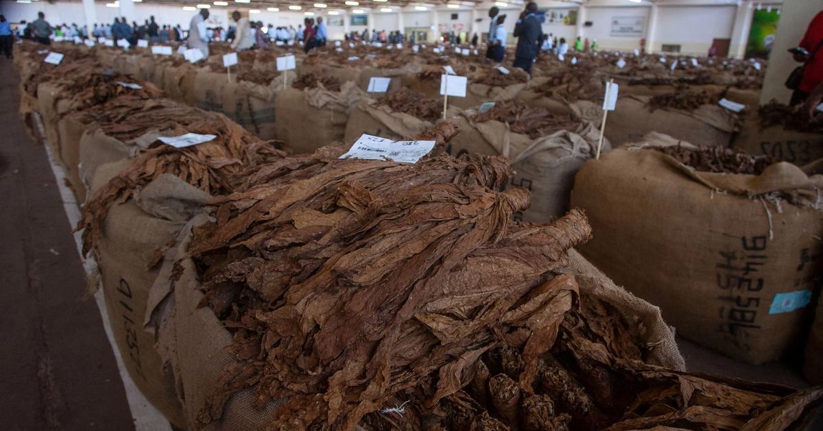 African trade bloc COMESA launches new digital payments system