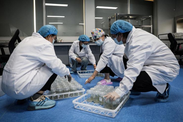 Scientists in China.