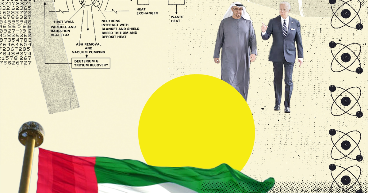 Analysis: Why Abu Dhabi is betting on fusion