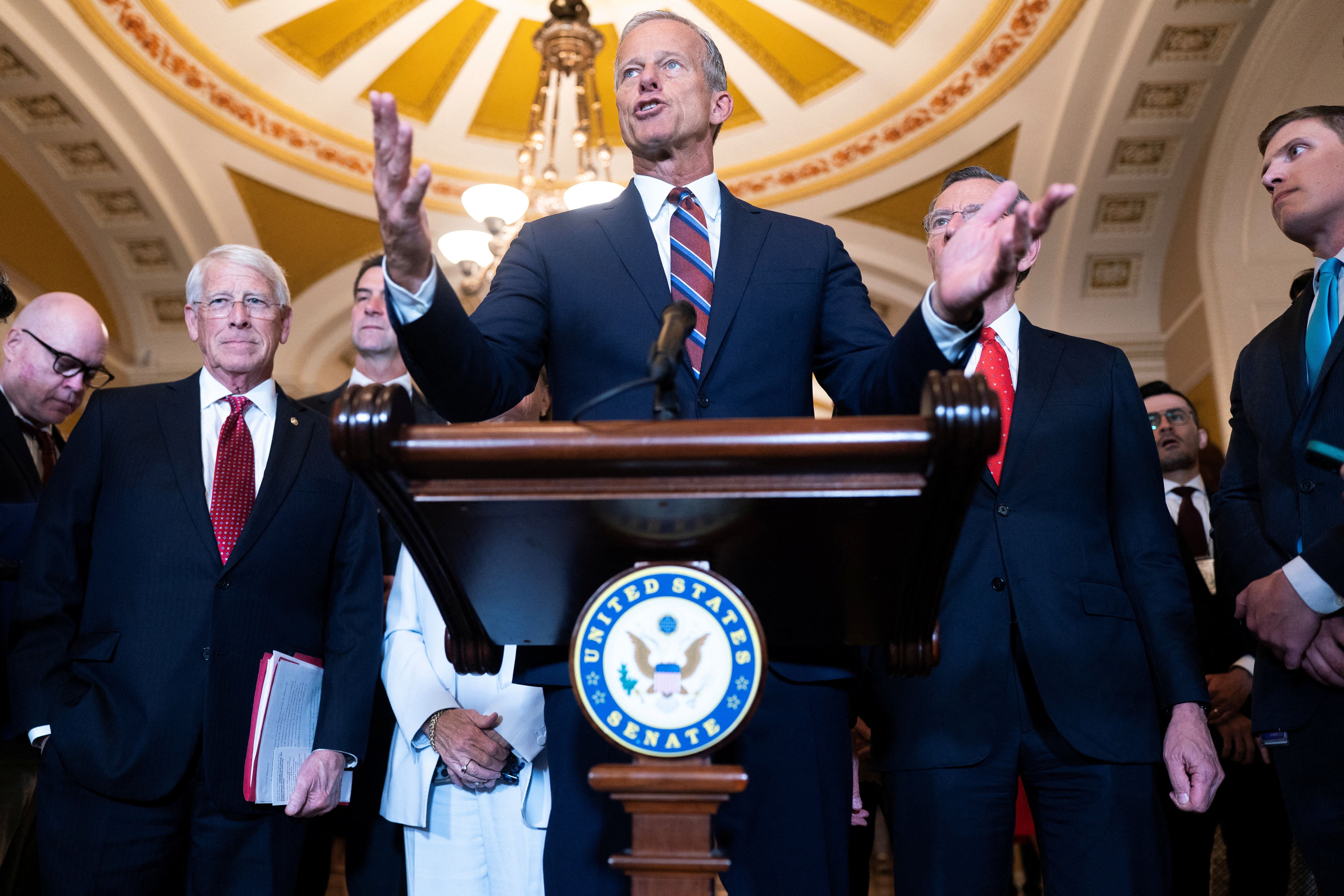 John Thune and other Republicans 