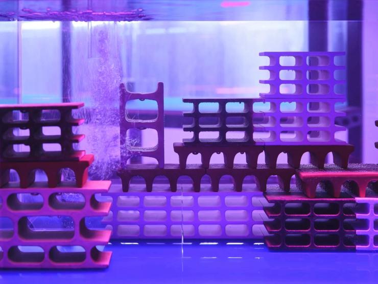 Trevor Yeung, “Cave of Avoidance” (Not Yours), 2024