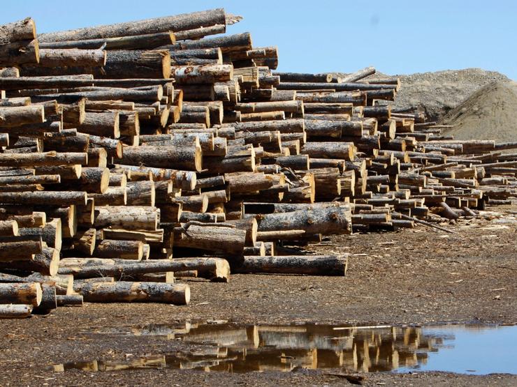 Wood pellet plant in Kremmling.