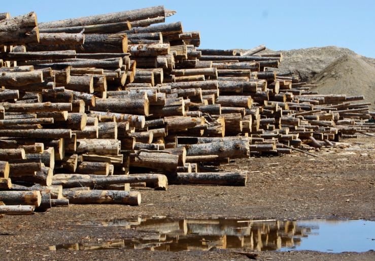 Wood pellet plant in Kremmling.