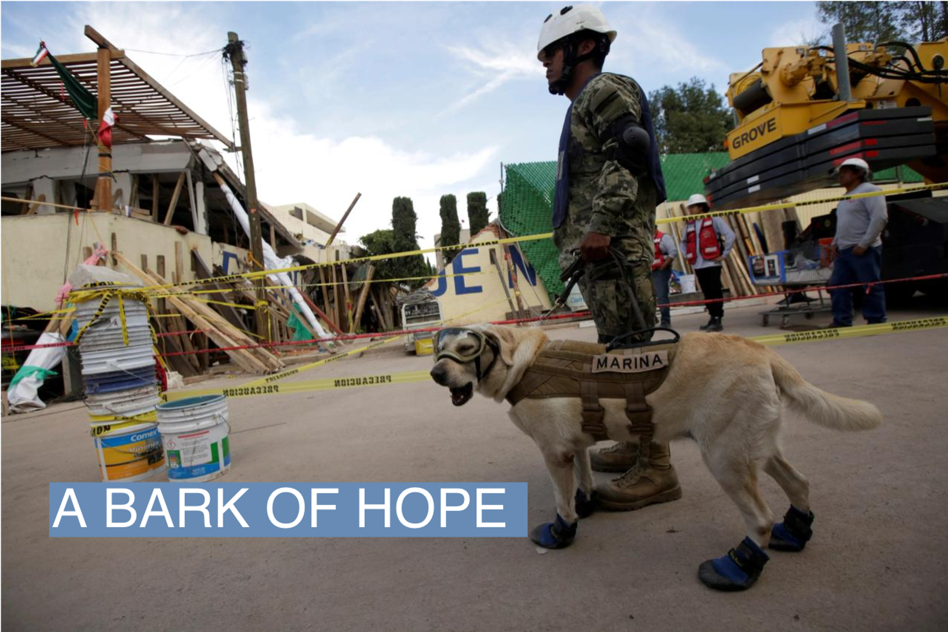 Rescue dog Frida and her handler work after an earthquake hit Mexico City, Mexico