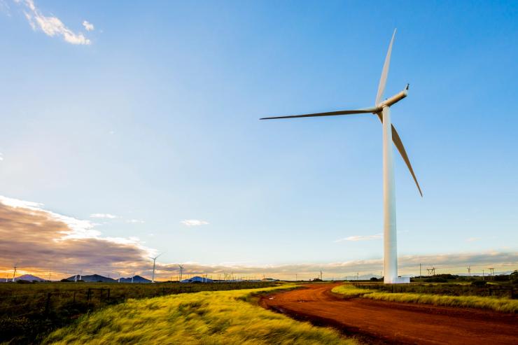 Jeffreys Bay Wind Farm, approximately 70 km west of Port Elizabeth in the Kouga Municipality of South Africa.