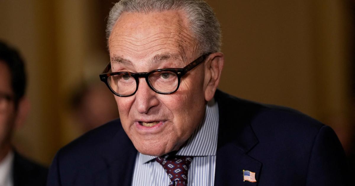 Michigan primary adds to Schumer’s future headaches