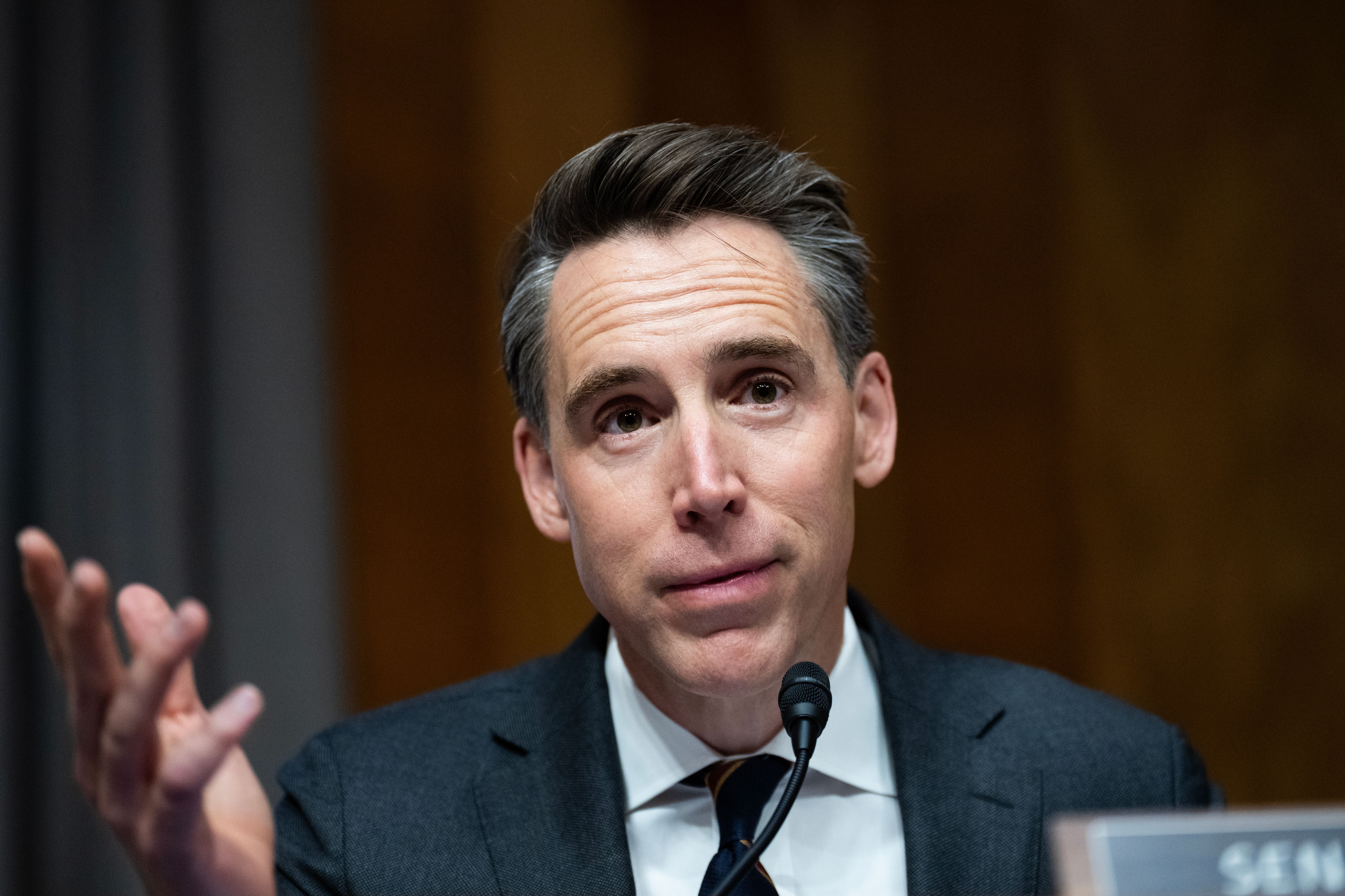 Conservatives pan Hawley tariff rebate proposal