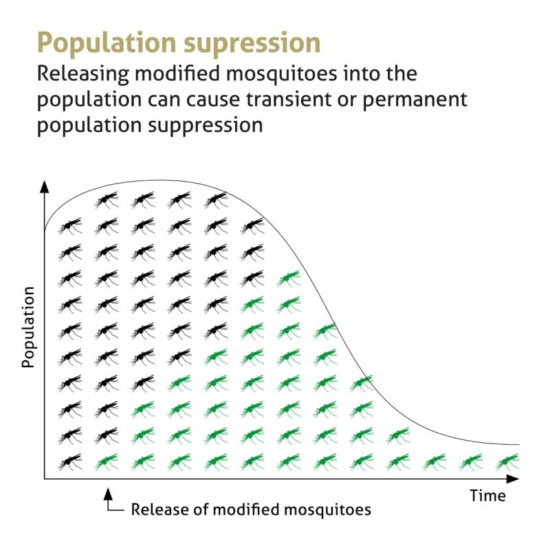 A chart showing mosquito population suppression.