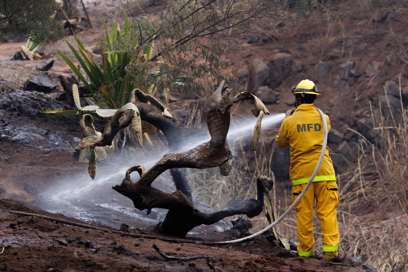 A Maui County firefighter fights flare-up fires in a canyon in Kula.
