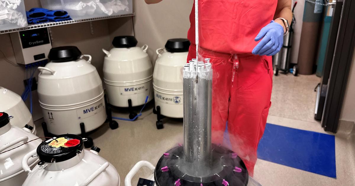 Experimental IVF shows promise