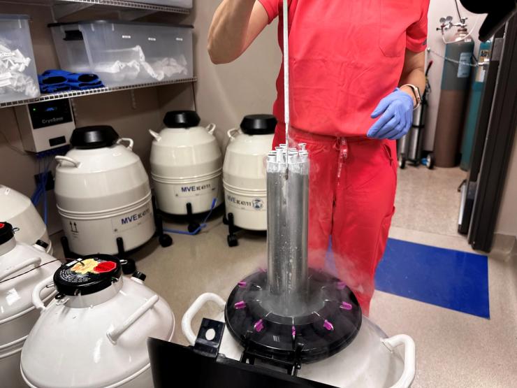 Frozen embryos out of IVF cryopreservation dewar