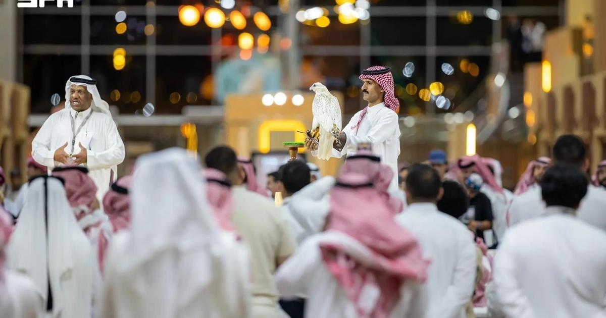 Falcon frenzy descends on Riyadh