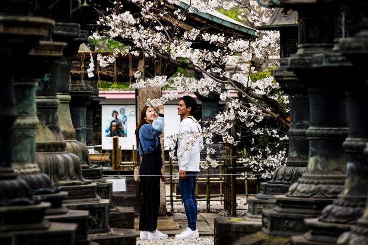 Young couple observe the cherry blossoms at Ueno park in Tokyo, Japan, March 21, 2023. REUTERS/Androniki Christodoulou