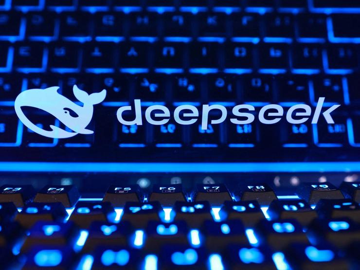 The DeepSeek logo.