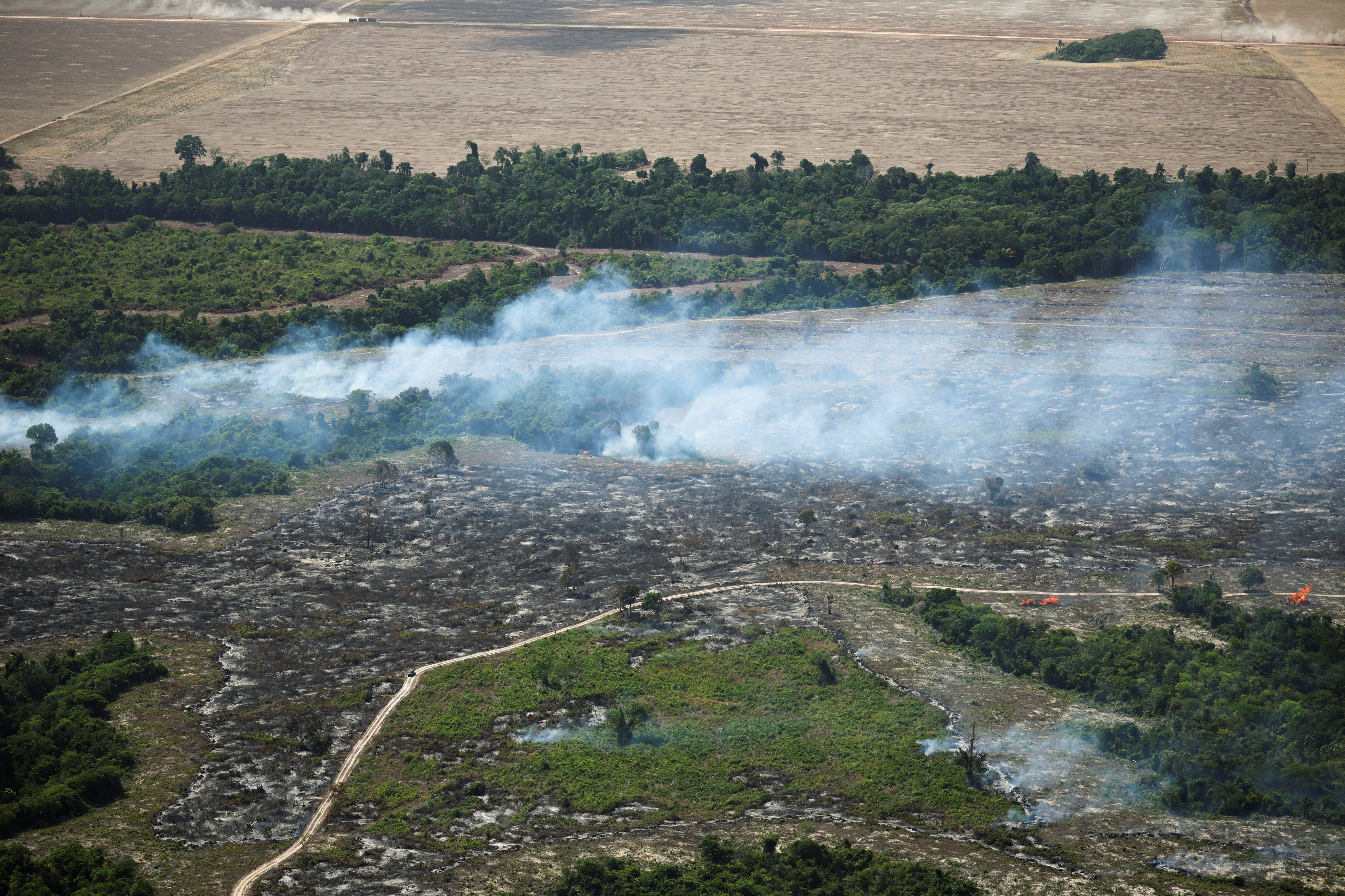 A fire burning in the Amazon rainforest to clear land for agriculture.
