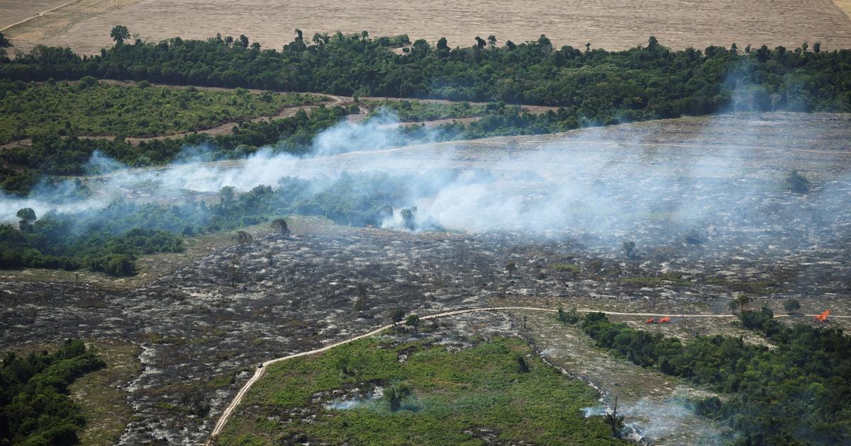 COP30 overlooks private sector's role in climate adaptation