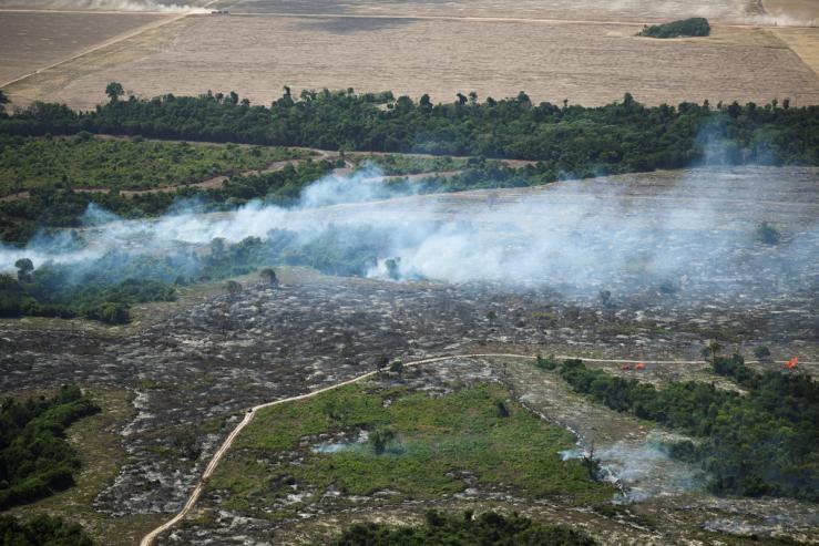 A fire burning in the Amazon rainforest to clear land for agriculture.