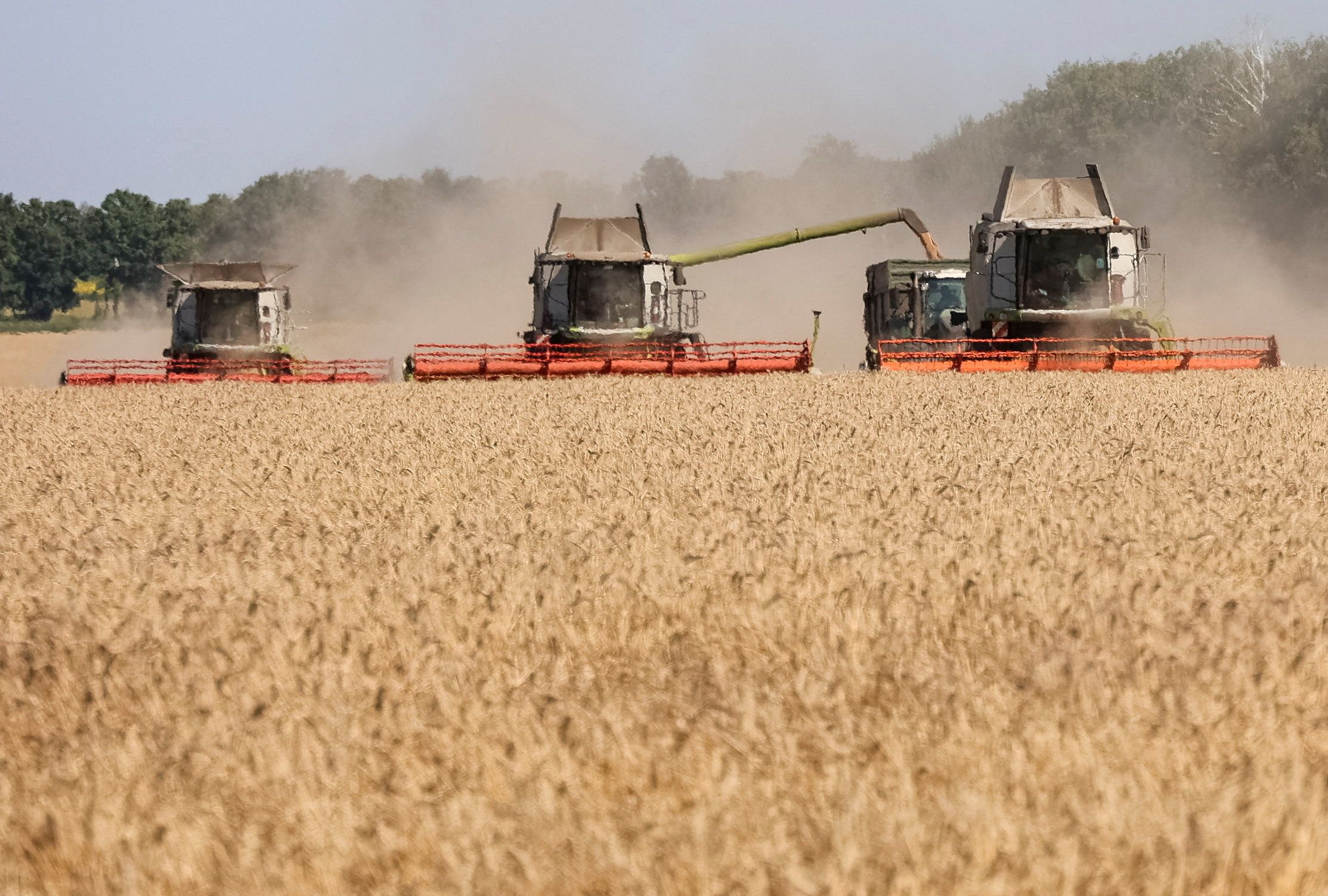 Combines harvest wheat in a field, amid Russia’s attack on Ukraine, in Kharkiv region, Ukraine.
