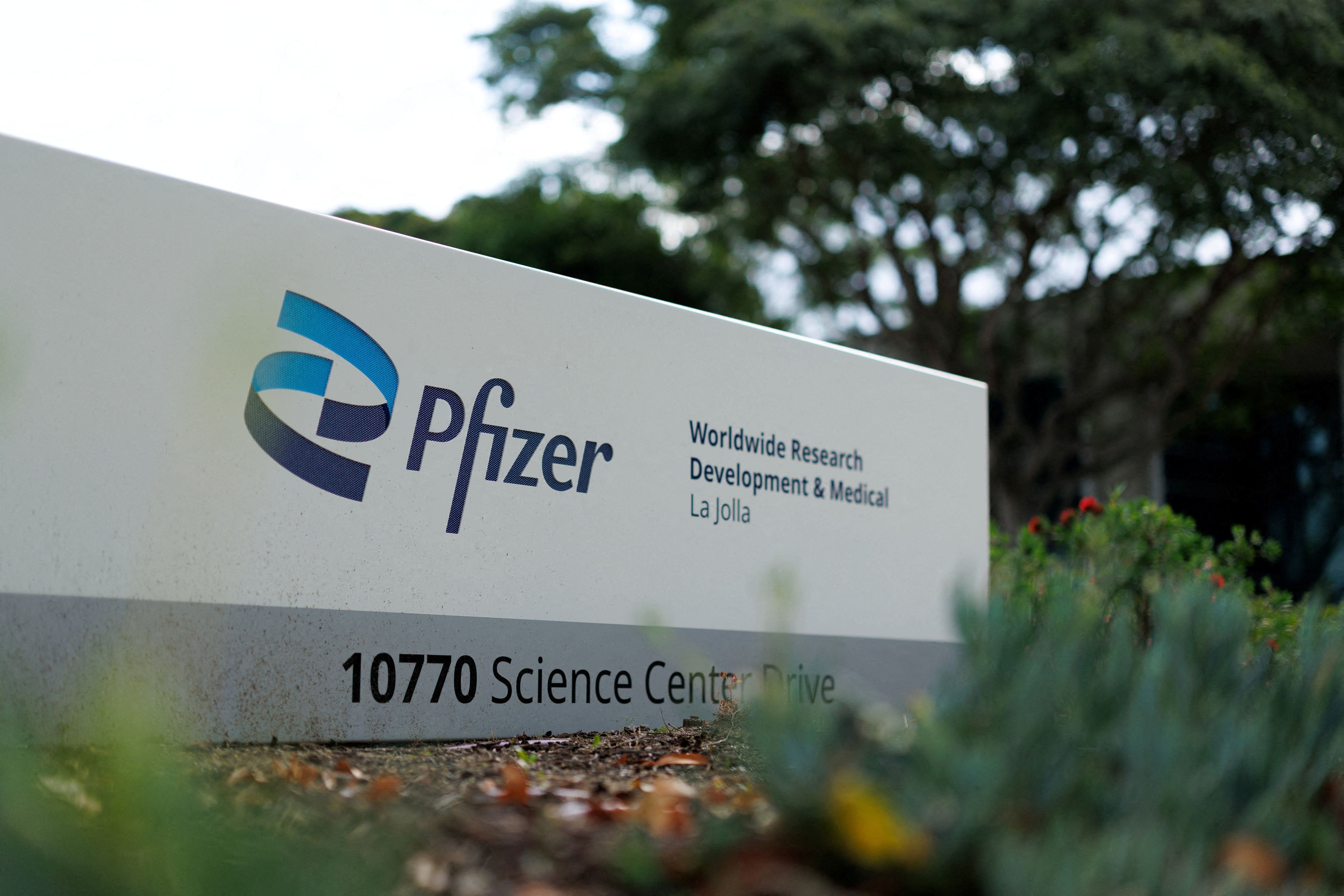 Pfizer logo