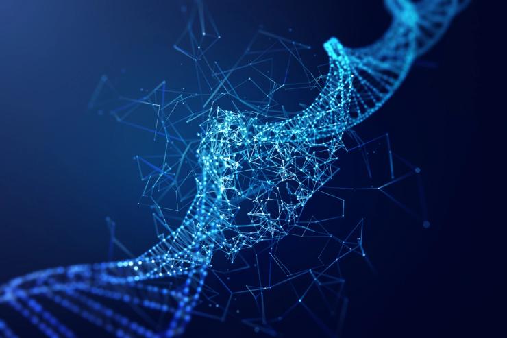 An image of a DNA structure.