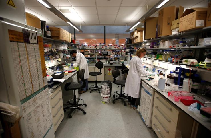 Scientists work in cancer research laboratories at the Old Road Campus research building at Oxford University.