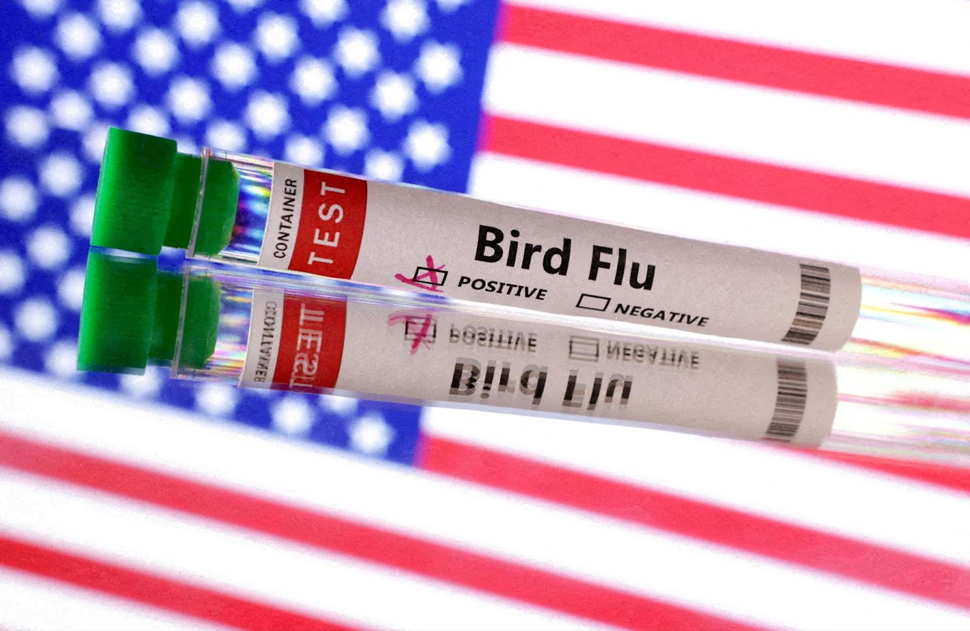 An illustration of a bird flu vial.