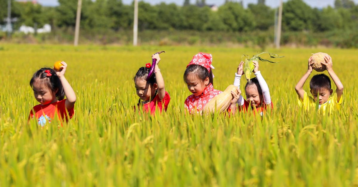 China’s fertility rate has slumped to a record low | Semafor