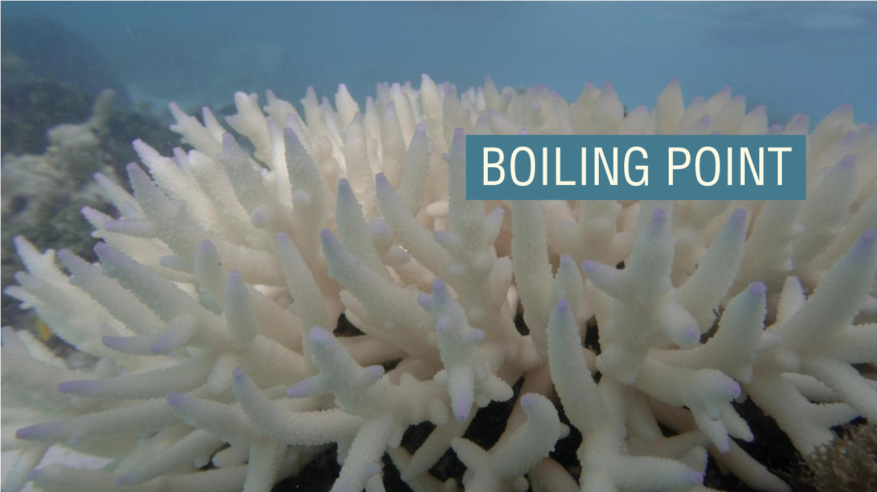 Coral bleaching on the Great Barrier Reef