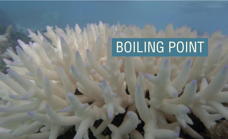 Coral bleaching on the Great Barrier Reef