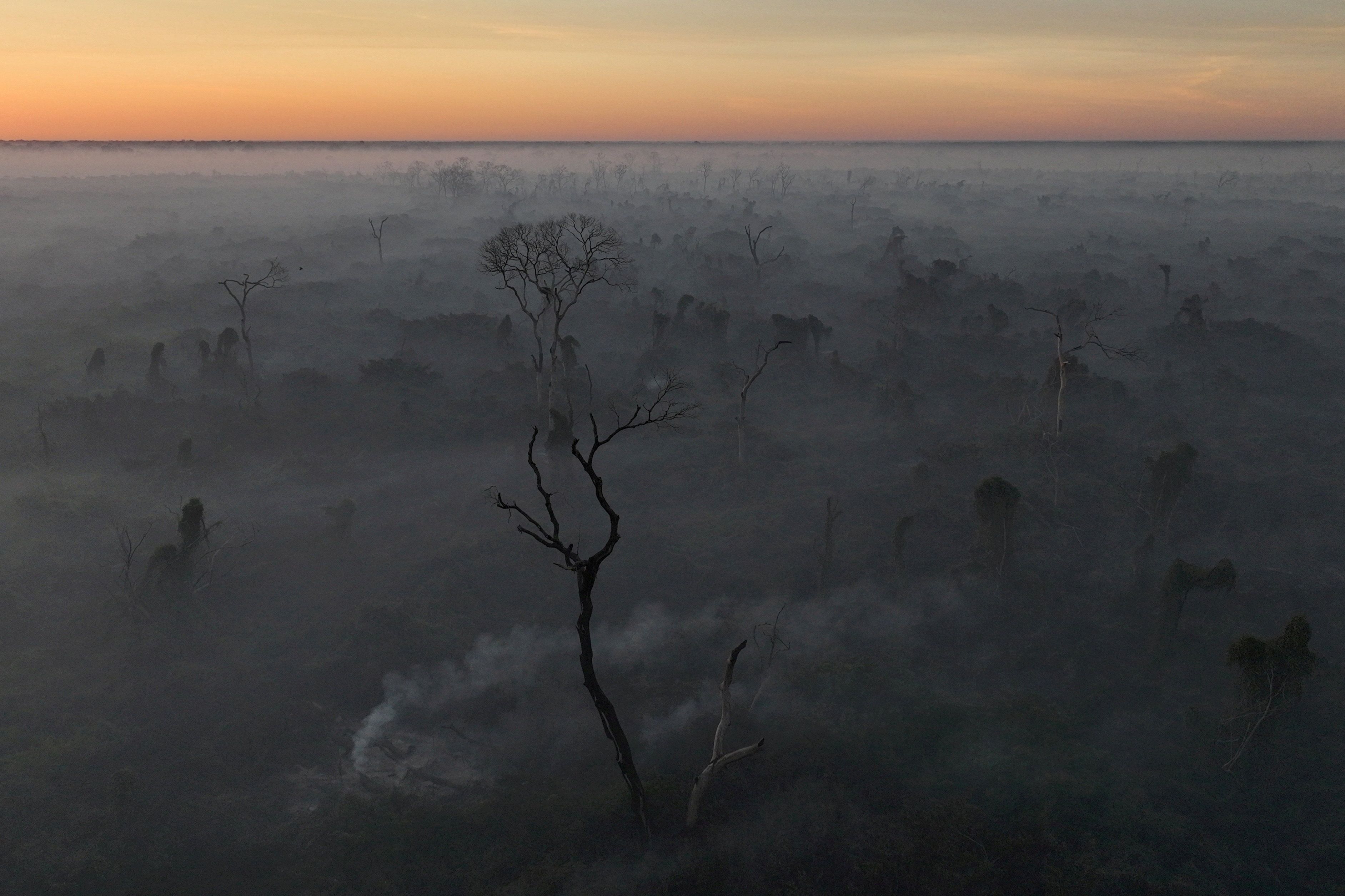 A drone view shows a smoke from a fire rising into the air as trees burn amongst vegetation in Brazil.
