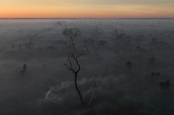 A drone view shows a smoke from a fire rising into the air as trees burn amongst vegetation in Brazil.