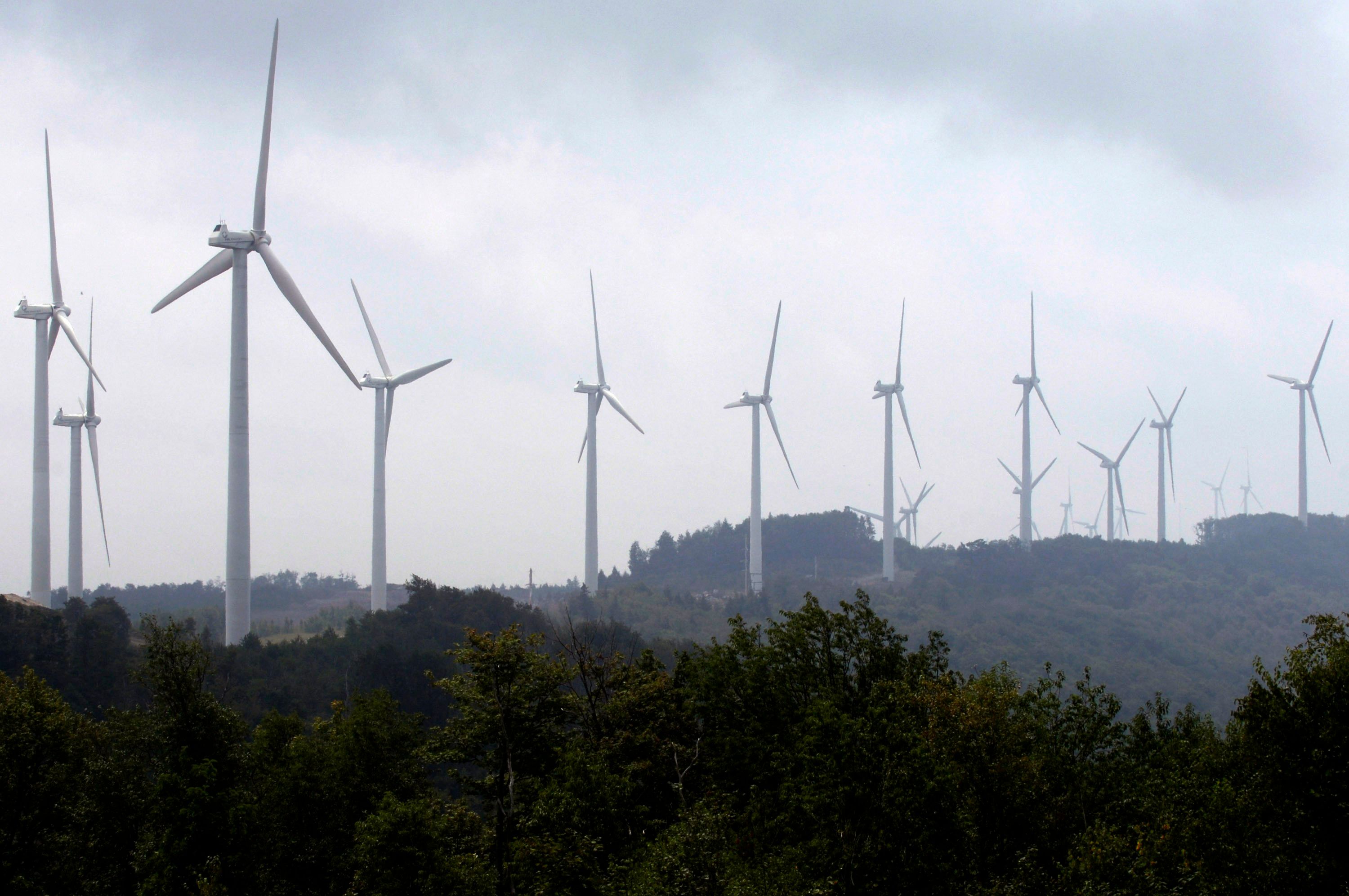 Power-generating windmill turbines form a wind farm on Backbone Mountain near Thomas, West Virginia