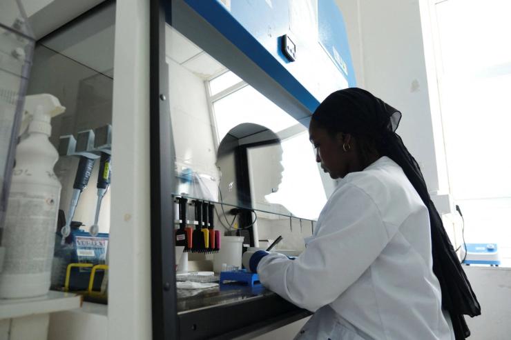 Seynabou Diop works at a station in a laboratory where the hantavirus genome was sequenced.