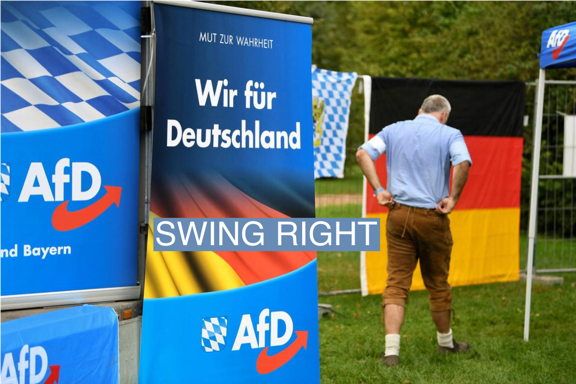 AfD in Germany